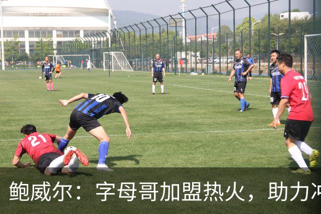鲍威尔：字母哥加盟热火，助力冲击总冠军